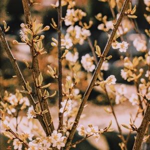 Meet your Posher, Cole